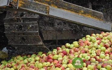 Снимок носит иллюстративный характер / Фото: vkirove.ru