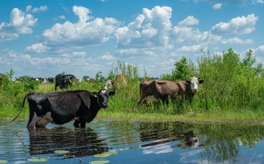 В материале использованы фото Катерины Шнек из соцсетей
