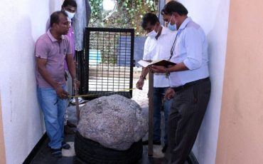 АВТОР ФОТО,MR GAMAGE