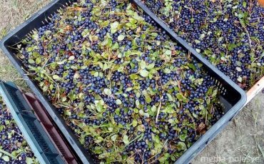 Фото из архива МП