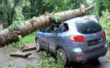 Фото использовано в качестве иллюстрации, с сайта nacha-tumen.ru