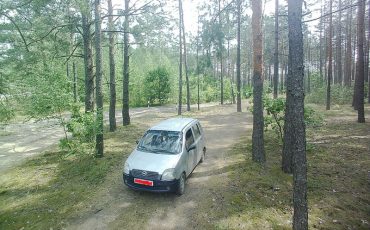 Фото предоставлено Лунинецким лесхозом