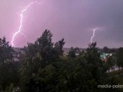 Снимок носит иллюстративный характер / Фото из архива Медиа-Полесья