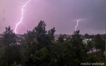 Снимок носит иллюстративный характер / Фото из архива Медиа-Полесья