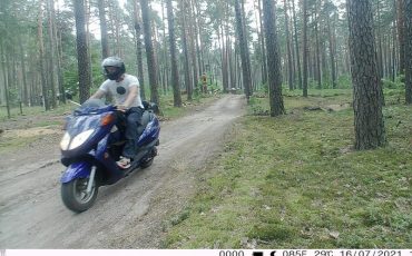 Фото: Лунинецкий лесхозз