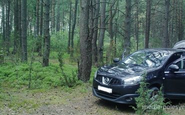 Фото предоставлено Пинским лесхозом