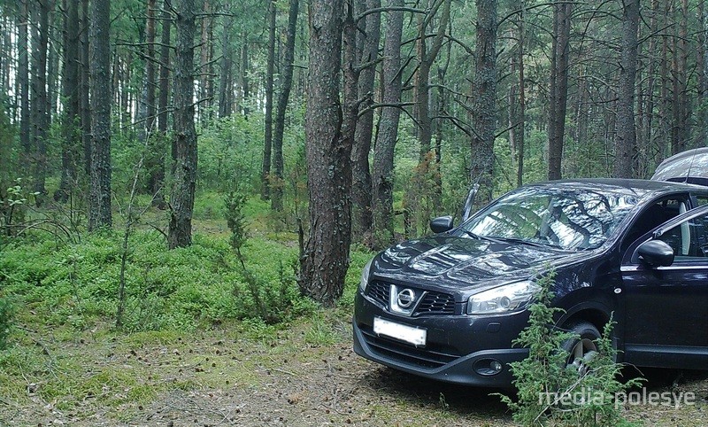 Фото предоставлено Пинским лесхозом