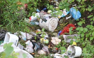 Фото использовано в качестве иллюстрации, из архива МП