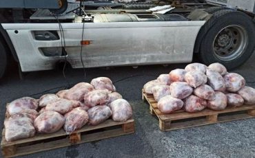 Фото Пинского погранотряда