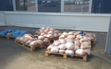 Фото использовано в качестве иллюстрации