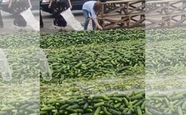 Скриншот из видео