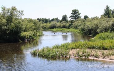 Фото используется в качестве иллюстрации