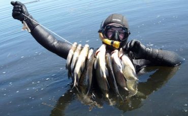 Фото использовано в качестве иллюстрации, с сайта activefisher.net