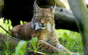 Фото носит иллюстративный характер fishki.net