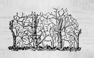 Фото: cluber.com.ua