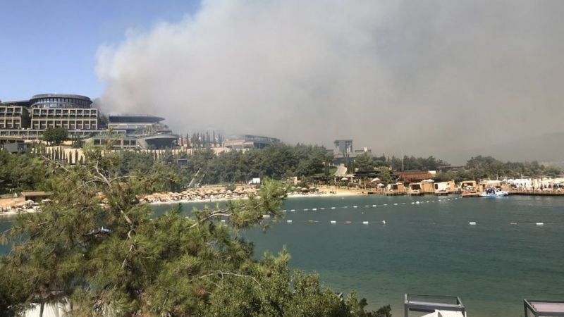 В окрестностях Бодрума также бушует пламя.Фото Anadolu Agency