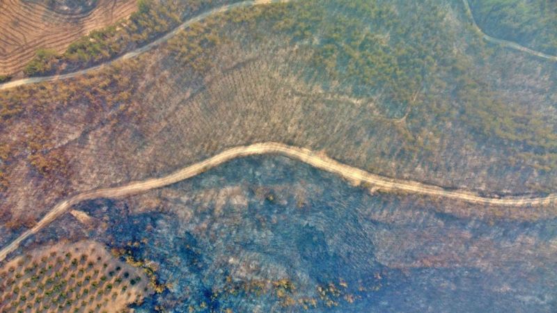 Серьезно пострадала и южная провинция Османие. По словам министра сельского и лесного хозяйства страны Бекира Пакдемирли, пожары сейчас бушуют в семи регионах страны. Фото Anadolu Agency