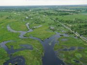 Фото иллюстративное / Фото: Виктора Фенчука