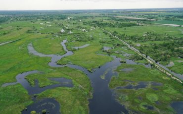 Фото иллюстративное / Фото: Виктора Фенчука