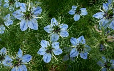 Фото иллюстрационное из открытых источников