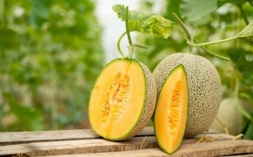 Фото: Getty Images/Moment/Getty Images Entertainment