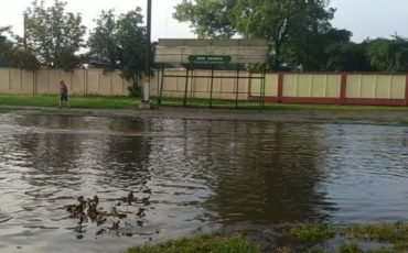 Фото из группы Zello 