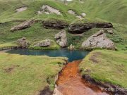 Фото из архива МП