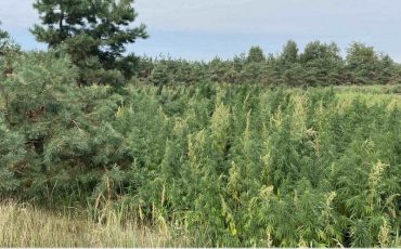 Фото: УВД Могилевского облисполкома