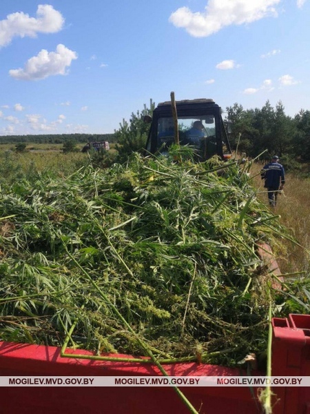 Фото: УВД Могилевского облисполкома