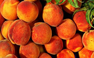 Фото с сайта pixnio.com