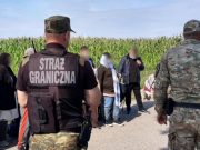 Фото: strazgraniczna.pl​