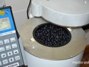 Фото использовано в качестве иллюстрации, из архива МП