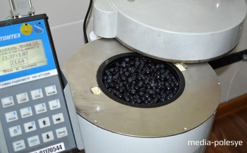 Фото использовано в качестве иллюстрации, из архива МП