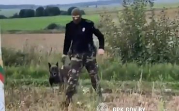 Скриншот видео