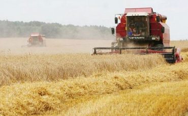 Фото: belmarket.by