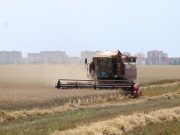 Фото используется в качестве иллюстрации