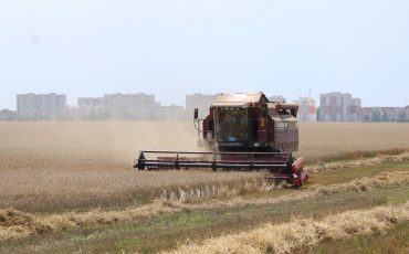 Фото используется в качестве иллюстрации