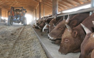 Фото использовано в качестве иллюстрации, nalugah.ru