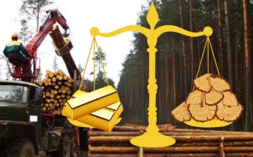 Фото использовано в качестве иллюстрации, mlh.by