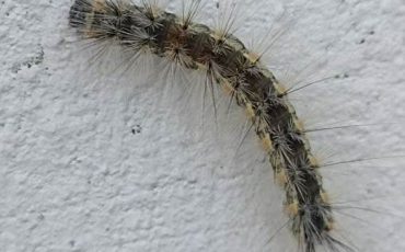 Фото читателя из Instagram