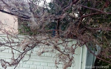 Фото читателя