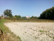 Фото использовано в качестве иллюстрации