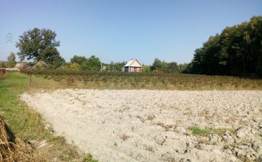 Фото использовано в качестве иллюстрации