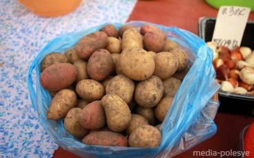 Килограмм мелкой картошки, на суп, продают за 40 копеек