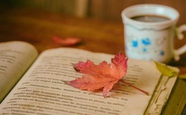 Фото носит иллюстративный характер/ Фото: uznayvse