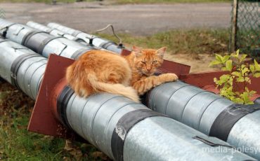 Фото из архива МП