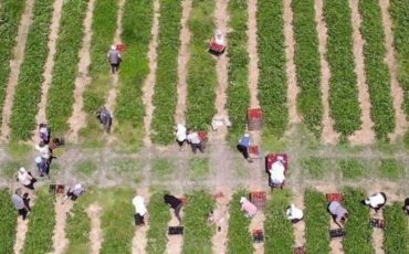 Фото Пинского райисполкома