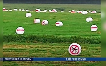 Скриншот видео МВД