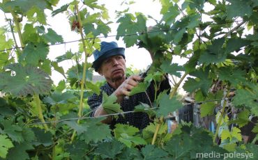 Александр Минич