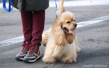 Фото из архива МП